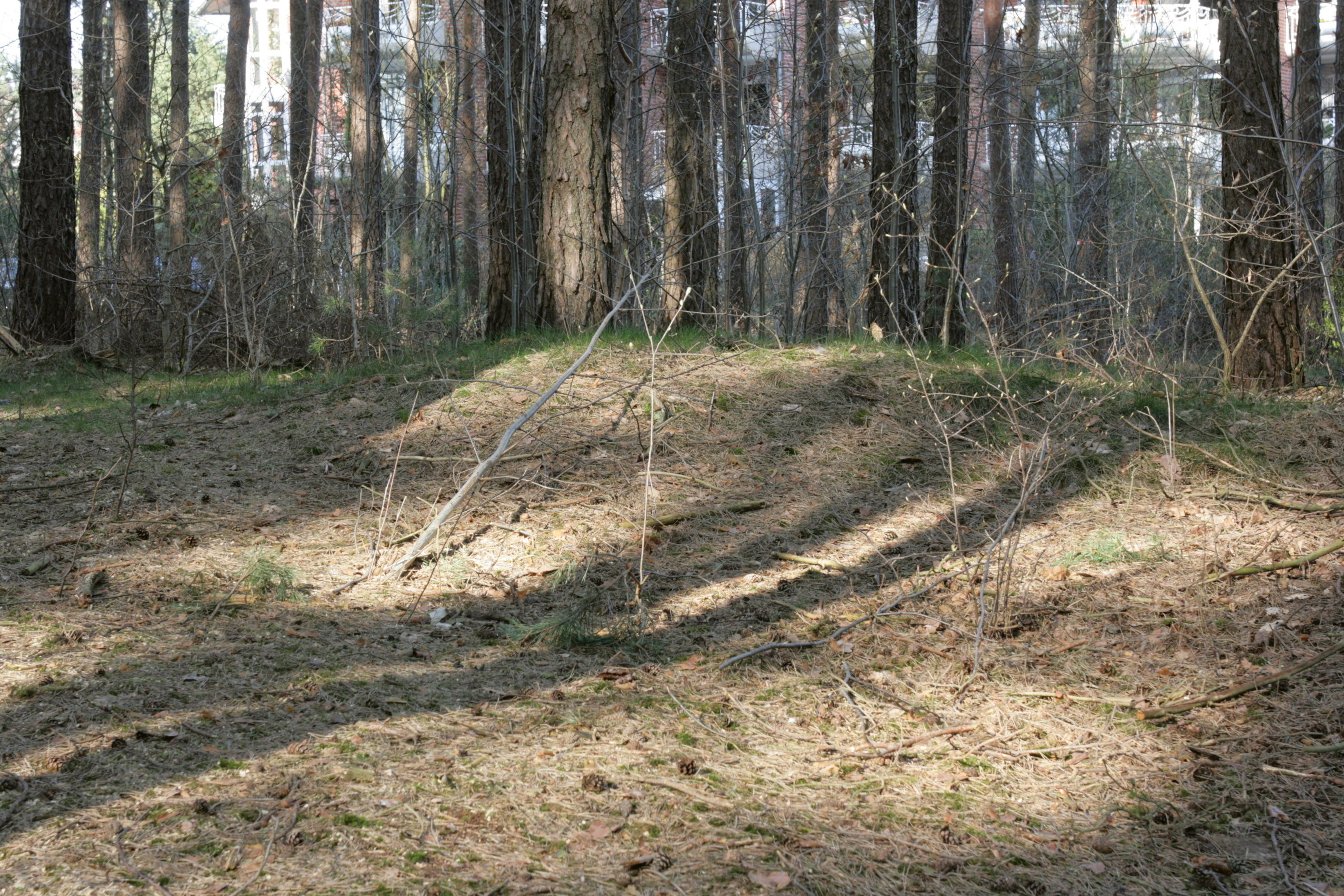 Buckelgräberfeld von Bad Bevensen